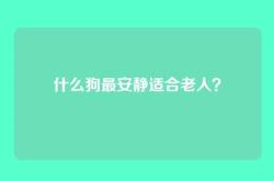 什么狗最安静适合老人？