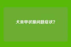 犬类甲状腺问题症状？