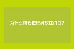 为什么狗会把玩具放在门口？