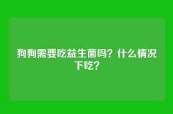 狗狗需要吃益生菌吗？什么情况下吃？