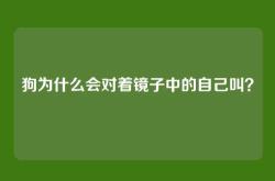 狗为什么会对着镜子中的自己叫？
