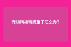 宠物狗被毒蝎蜇了怎么办？