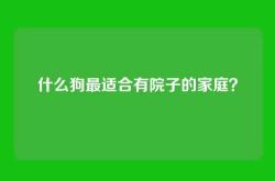 什么狗最适合有院子的家庭？