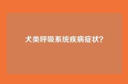犬类呼吸系统疾病症状？
