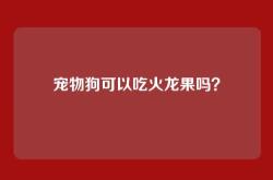 宠物狗可以吃火龙果吗？