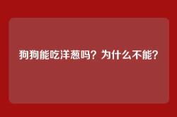 狗狗能吃洋葱吗？为什么不能？