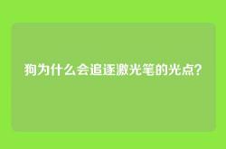 狗为什么会追逐激光笔的光点？