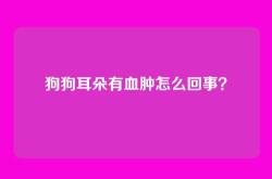 狗狗耳朵有血肿怎么回事？
