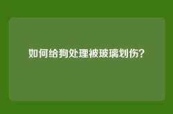 如何给狗处理被玻璃划伤？
