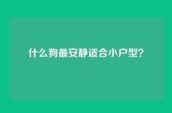 什么狗最安静适合小户型？