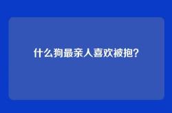 什么狗最亲人喜欢被抱？