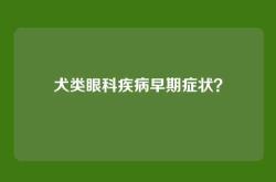 犬类眼科疾病早期症状？