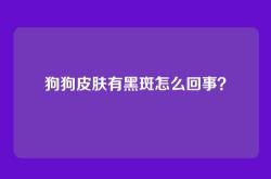 狗狗皮肤有黑斑怎么回事？