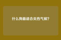 什么狗最适合炎热气候？