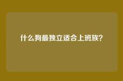 什么狗最独立适合上班族？