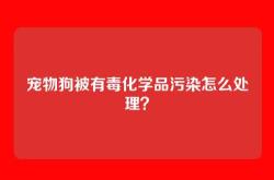 宠物狗被有毒化学品污染怎么处理？