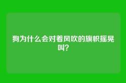 狗为什么会对着风吹的旗帜摇晃叫？