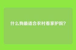 什么狗最适合农村看家护院？