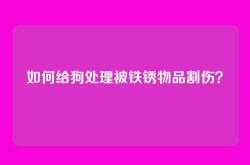 如何给狗处理被铁锈物品割伤？