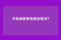 犬类泌尿系统感染症状？