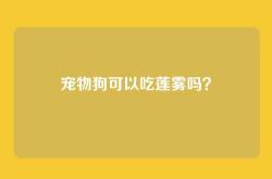 宠物狗可以吃莲雾吗？
