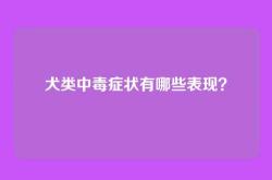 犬类中毒症状有哪些表现？