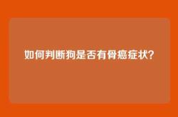 如何判断狗是否有骨癌症状？