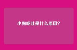 小狗呕吐是什么原因？