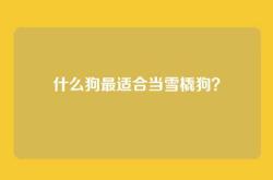 什么狗最适合当雪橇狗？