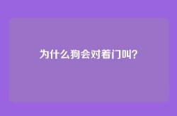 为什么狗会对着门叫？