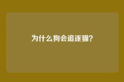 为什么狗会追逐猫？