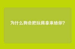 为什么狗会把玩具拿来给你？
