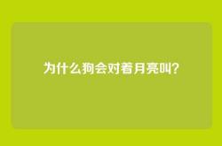 为什么狗会对着月亮叫？