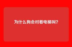为什么狗会对着电梯叫？