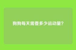 狗狗每天需要多少运动量？