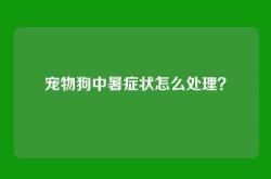 宠物狗中暑症状怎么处理？
