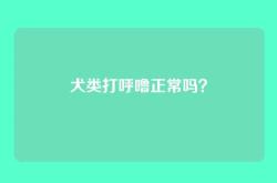 犬类打呼噜正常吗？