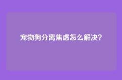 宠物狗分离焦虑怎么解决？