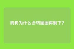 狗狗为什么会转圈圈再躺下？