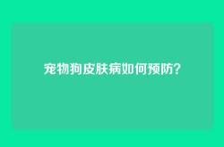 宠物狗皮肤病如何预防？