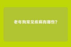 老年狗常见疾病有哪些？