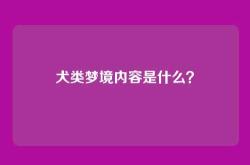 犬类梦境内容是什么？