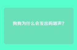 狗狗为什么会发出呜咽声？