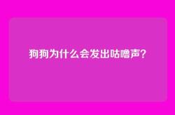 狗狗为什么会发出咕噜声？