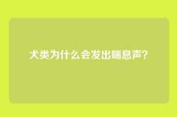 犬类为什么会发出喘息声？