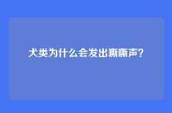 犬类为什么会发出嘶嘶声？