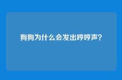 狗狗为什么会发出哼哼声？