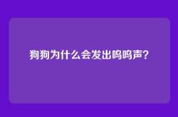 狗狗为什么会发出呜呜声？