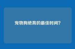 宠物狗绝育的最佳时间？