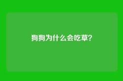 狗狗为什么会吃草？